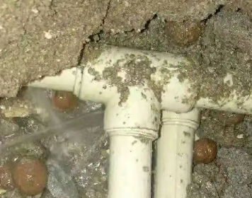 柘城测漏水多少钱