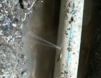 柘城测漏水哪家好