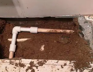 柘城测漏水哪家好