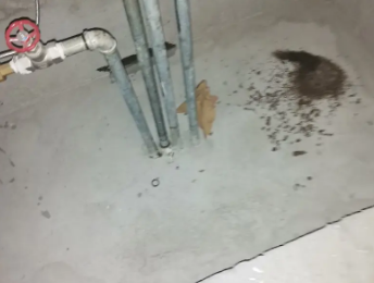 柘城卫生间测漏水价格明细