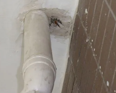 柘城漏水检测哪家好